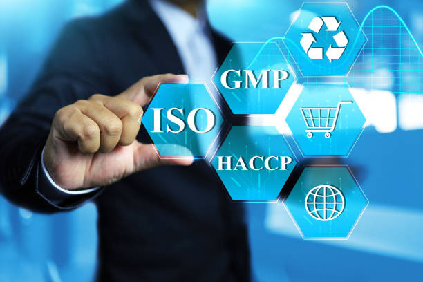 Istockphoto 1812731663 612x612